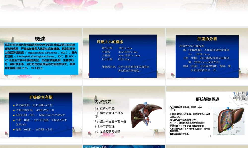 肝癌切除手术病人的麻醉完整