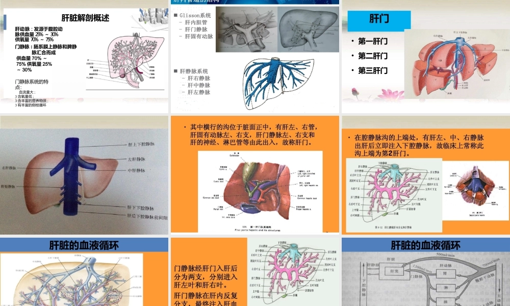 肝癌切除手术病人的麻醉完整