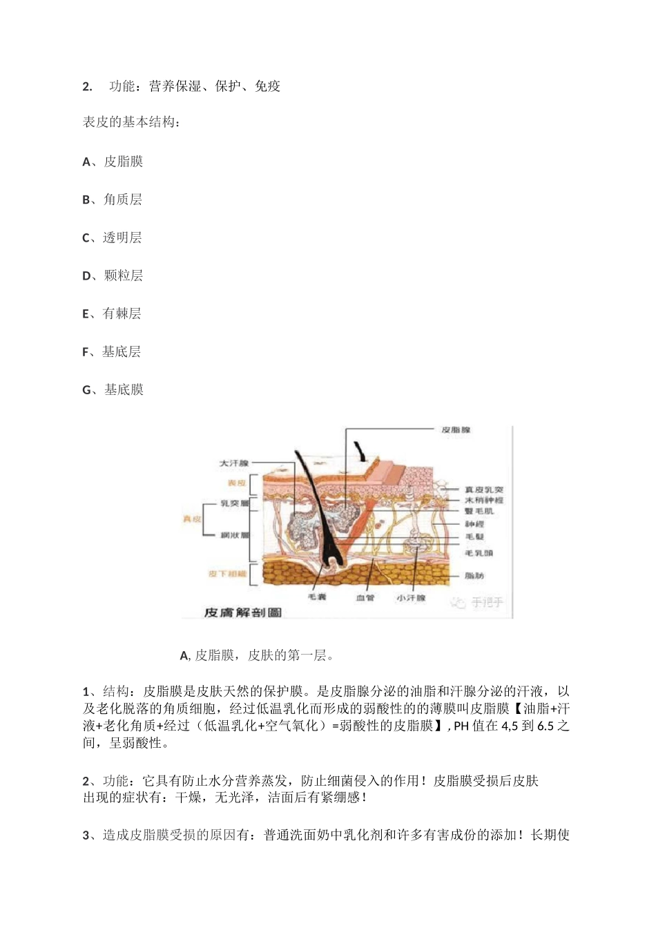 史上最完整版皮肤生理学_第3页