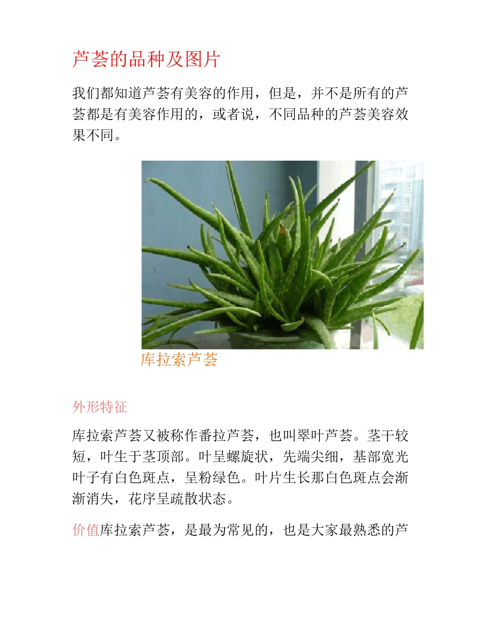 芦荟的品种及图片_第1页