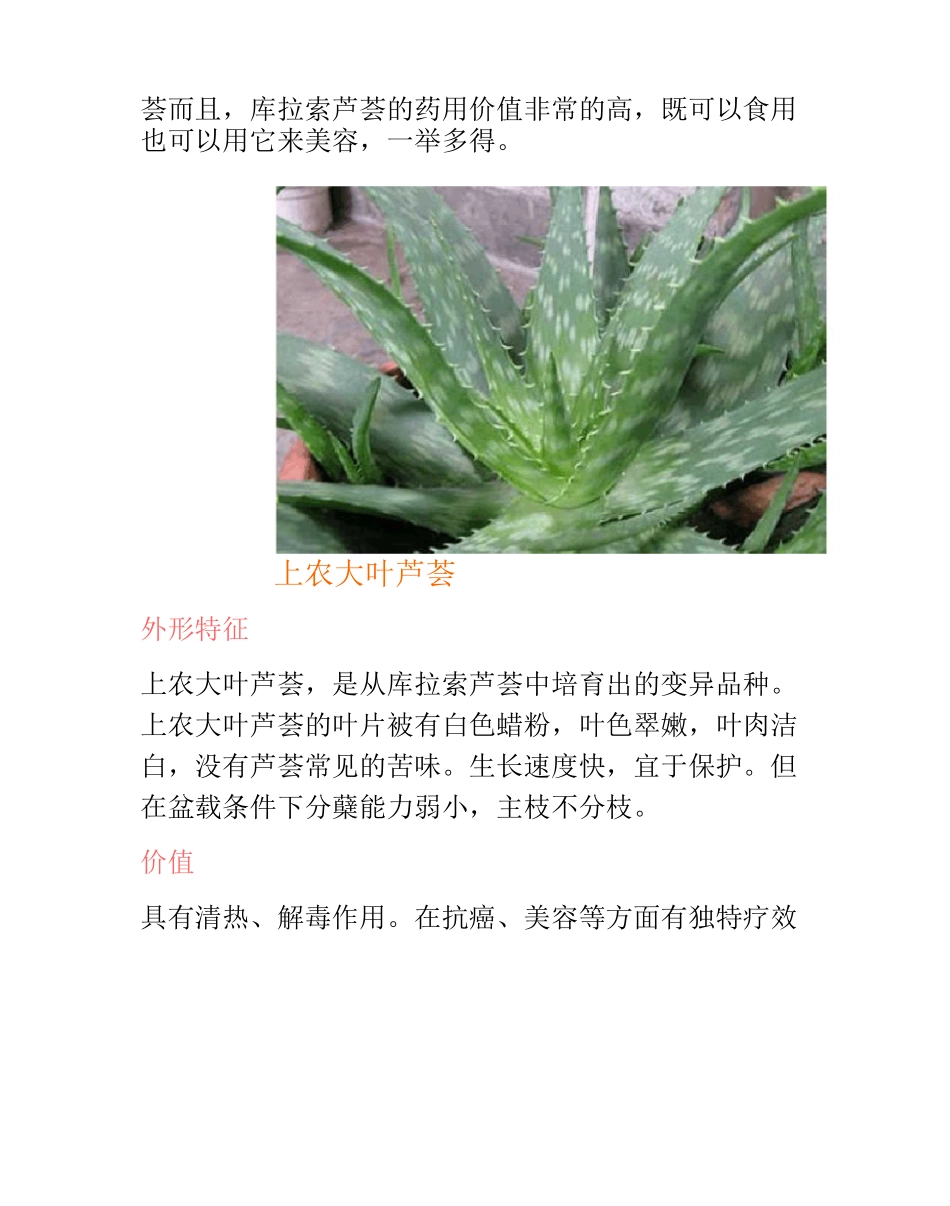 芦荟的品种及图片_第2页