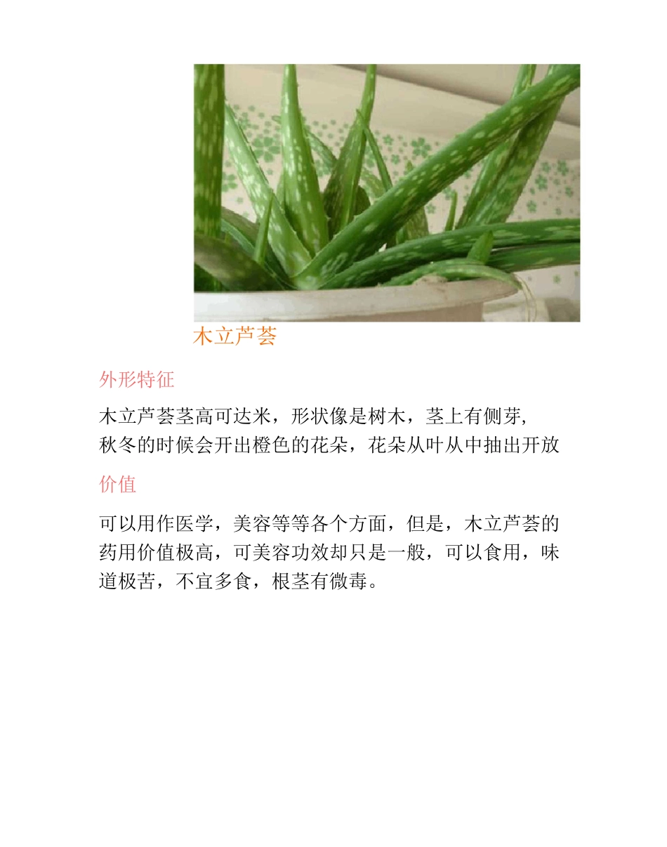 芦荟的品种及图片_第3页