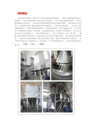 可再分散乳胶粉烘干机 喷雾干燥机 先进工艺