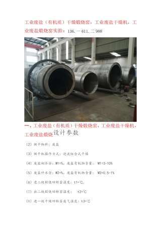 工业废盐(有机质)干燥煅烧窑