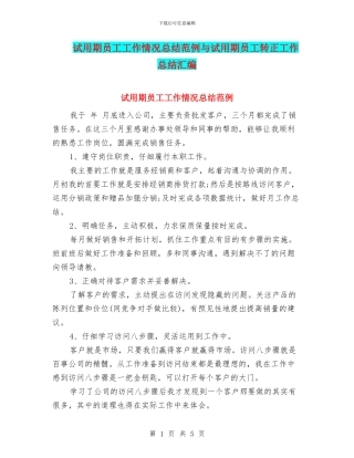 试用期员工工作情况总结范例与试用期员工转正工作总结汇编