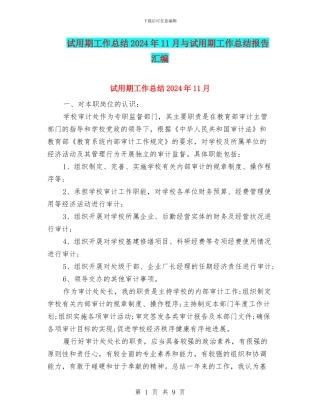 试用期工作总结2024年11月与试用期工作总结报告汇编