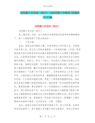 试用期工作总结与试用期工作报告(多篇范文)汇编