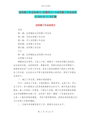 试用期工作总结英文与试用期工作总结范文2024年11月汇编