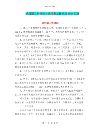 试用期工作目标与试用期工作计划2024汇编