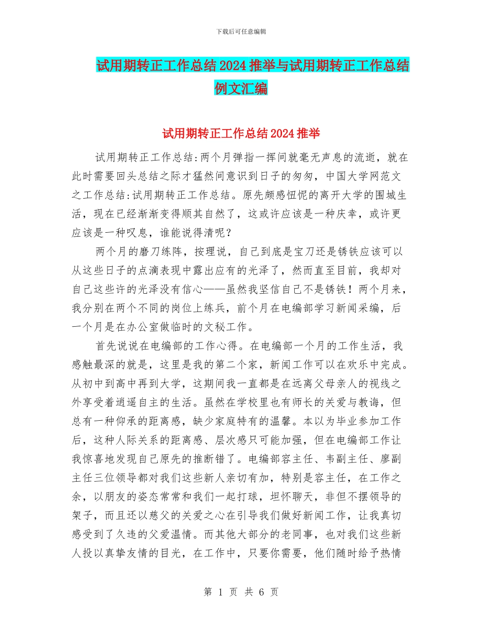 试用期转正工作总结2024推荐与试用期转正工作总结例文汇编_第1页