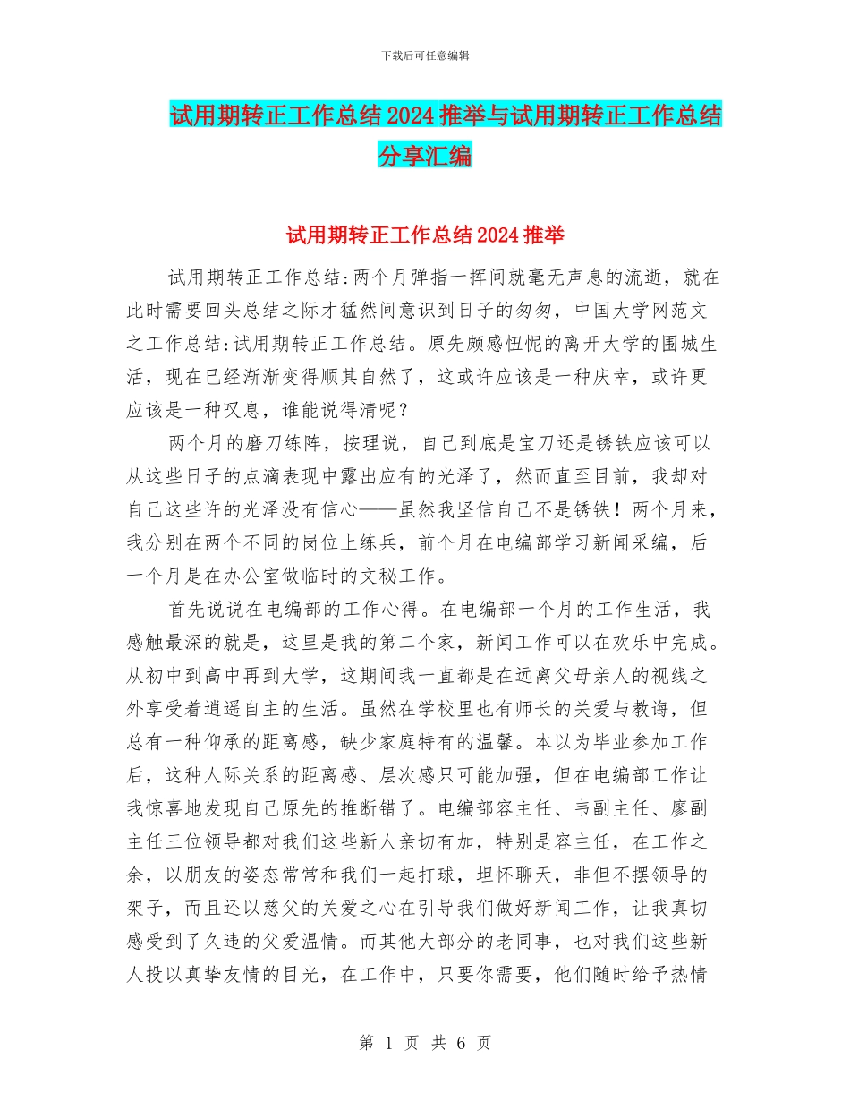 试用期转正工作总结2024推荐与试用期转正工作总结分享汇编_第1页