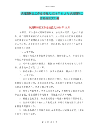试用期转正工作总结范文2024年11月与试用期间工作总结范文汇编