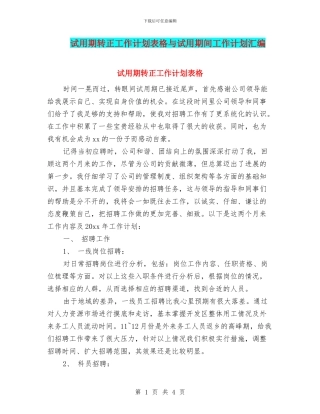 试用期转正工作计划表格与试用期间工作计划汇编