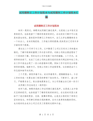 试用期转正工作计划范本与试用期间工作计划范本汇编