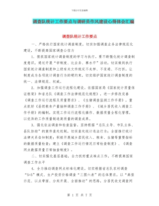 调查队统计工作要点与调研员作风建设心得体会汇编