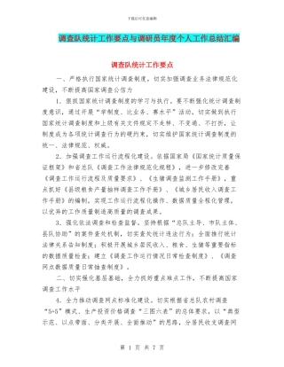 调查队统计工作要点与调研员年度个人工作总结汇编