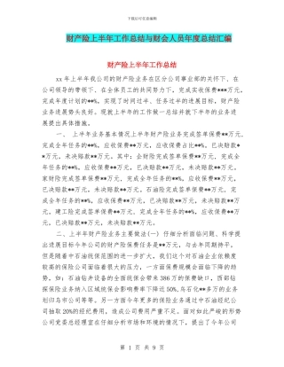 财产险上半年工作总结与财会人员年度总结汇编