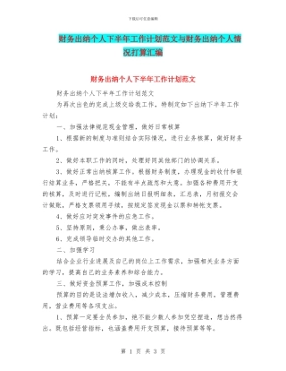 财务出纳个人下半年工作计划范文与财务出纳个人情况打算汇编