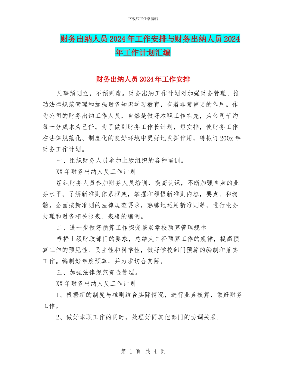 财务出纳人员2024年工作安排与财务出纳人员2024年工作计划汇编_第1页