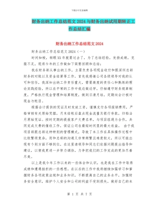 财务出纳工作总结范文2024与财务出纳试用期转正工作总结汇编