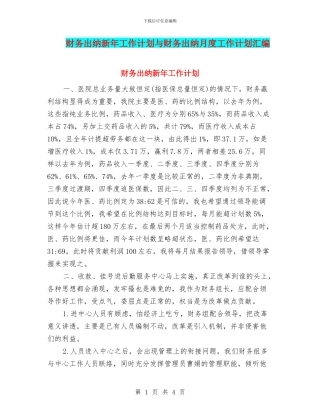财务出纳新年工作计划与财务出纳月度工作计划汇编