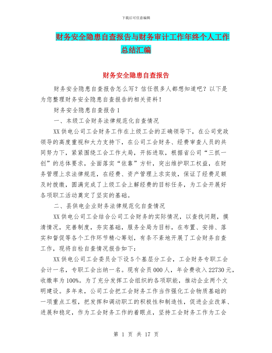 财务安全隐患自查报告与财务审计工作年终个人工作总结汇编_第1页