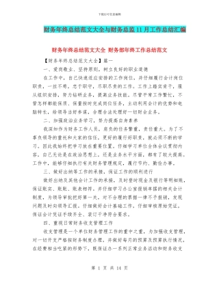 财务年终总结范文大全与财务总监11月工作总结汇编