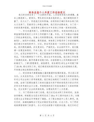 财务总监个人年度工作总结范文