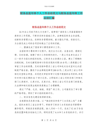 财务总监年终个人工作总结范文与财务总监年终工作总结汇编