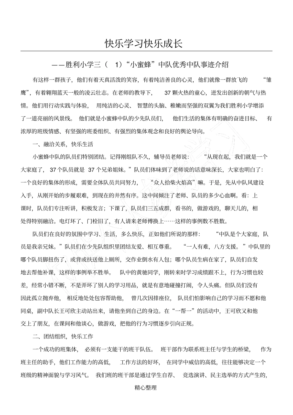 小学优秀中队材料_第1页