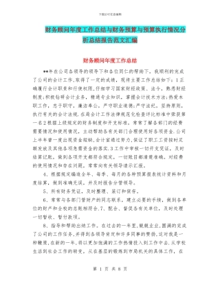 财务顾问年度工作总结与财务预算与预算执行情况分析总结报告范文汇编