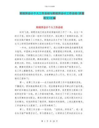 财政所会计个人工作总结与财政所会计工作总结汇编