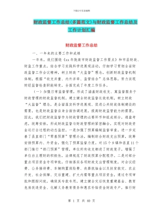 财政监督工作总结与财政监督工作总结及工作计划汇编