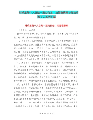 财政系统个人总结