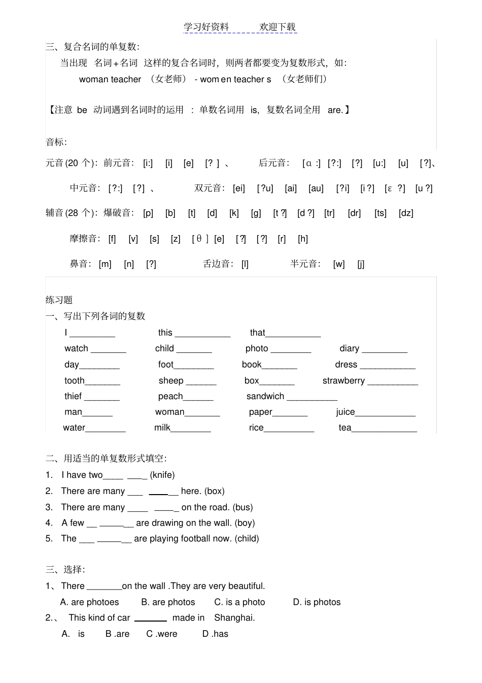 小学六年级语法专题一名词单复数_第2页