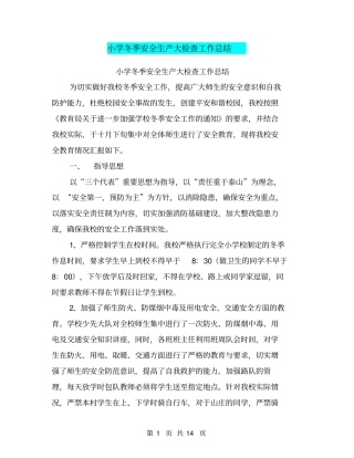 小学冬季安全生产大检查工作总结【可编辑版】