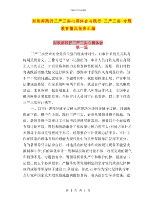 财政部践行三严三实心得体会与践行