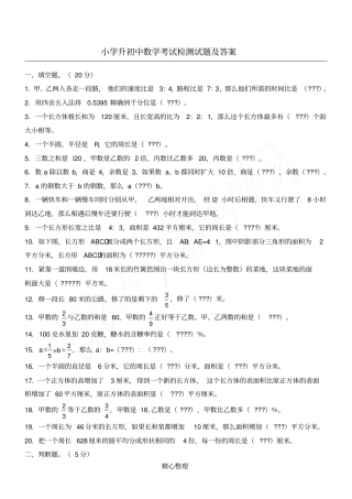 小学升初中数学考试检测试题及答案