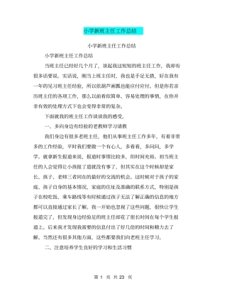 小学新班主任工作总结【可编辑版】