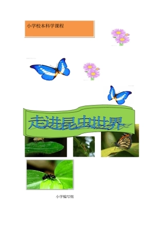 小学校本教材走进昆虫世界