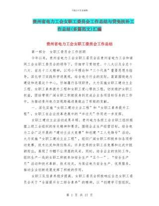 贵州省电力工会女职工委员会工作总结与贷免扶补工作总结汇编