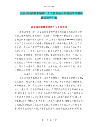 赴县级团委挂职锻炼个人工作总结与赴基层学习组织建设报告汇编