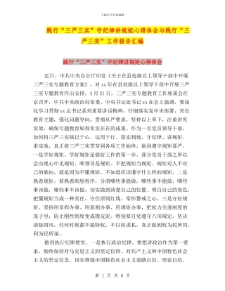 践行“三严三实”守纪律讲规矩心得体会与践行“三严三实”工作报告汇编