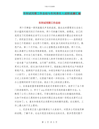 车间试用期工作总结与车间责任人述职述廉汇编