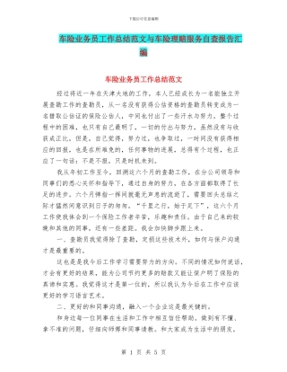 车险业务员工作总结范文与车险理赔服务自查报告汇编