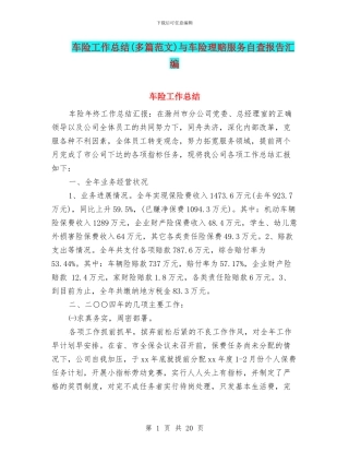 车险工作总结与车险理赔服务自查报告汇编