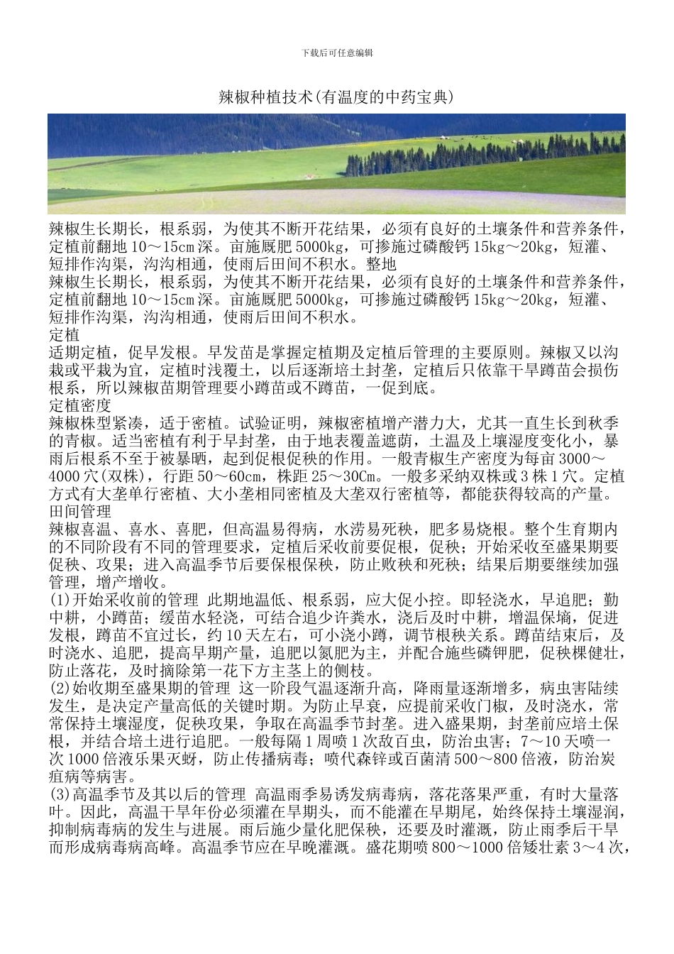 辣椒种植技术_第1页