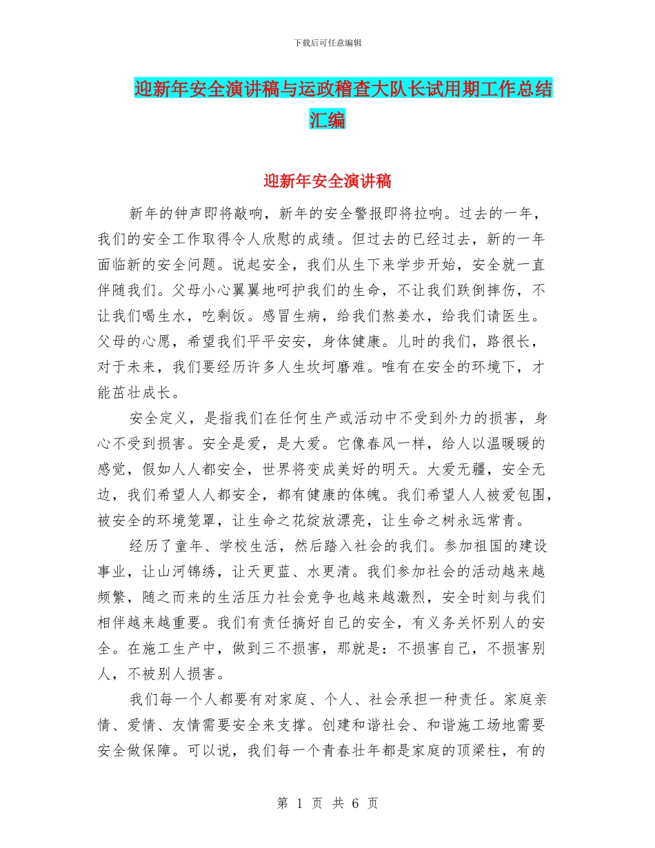 迎新年安全演讲稿与运政稽查大队长试用期工作总结汇编_第1页