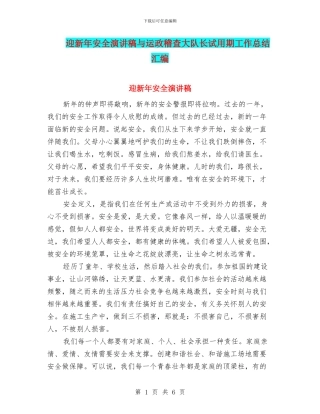 迎新年安全演讲稿与运政稽查大队长试用期工作总结汇编