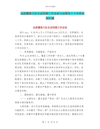 运政稽查大队长试用期工作总结与运管处个人年终总结汇编